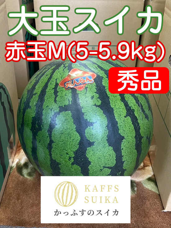 かっふすスイカ（赤）M（5～5.9kg）《1玉入り》