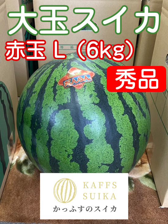 かっふすスイカ（赤）L（6kg）《1玉入り》