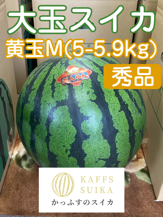 かっふすスイカ（黄）M（5～5.9kg）《1玉入り》