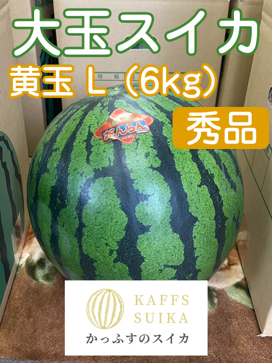 かっふすスイカ（黄）L（6kg）《1玉入り》