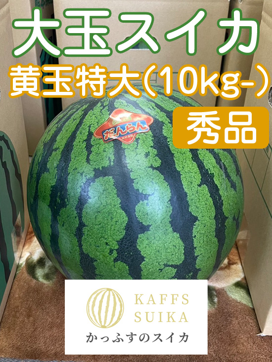 かっふすスイカ（黄）特大（10kg～）《1玉入り》